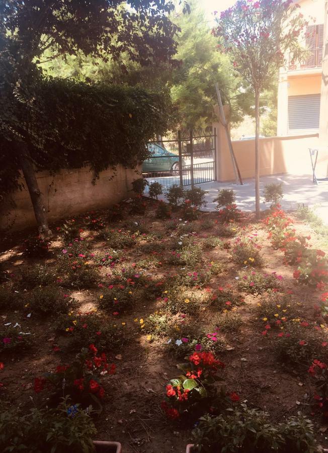 La Casa Di Nonno Giulio Porto SantʼElpidio Exterior foto