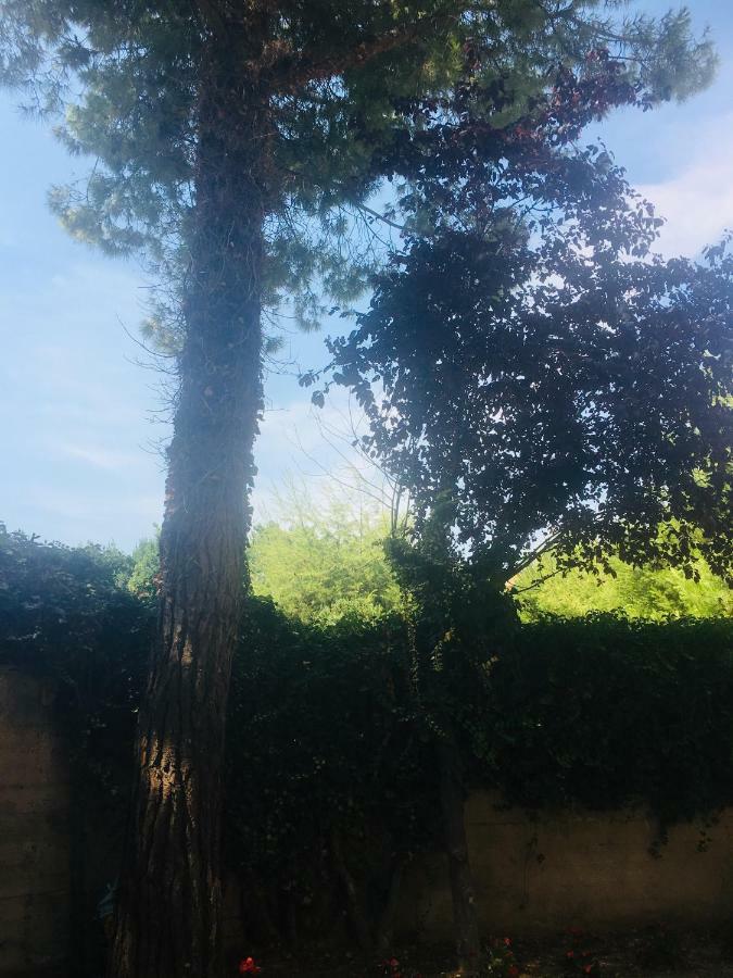La Casa Di Nonno Giulio Porto SantʼElpidio Exterior foto